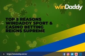Read more about the article Reasons Why Windaddy Sport & Casino Betting is the Best Choice
