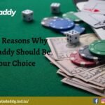 Top 6 Reasons Why Windaddy Should Be Your Choice