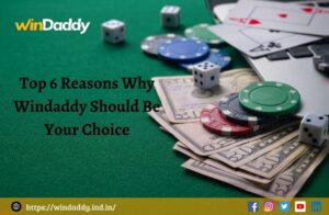 Read more about the article Top 6 Reasons Why Windaddy Should Be Your Choice