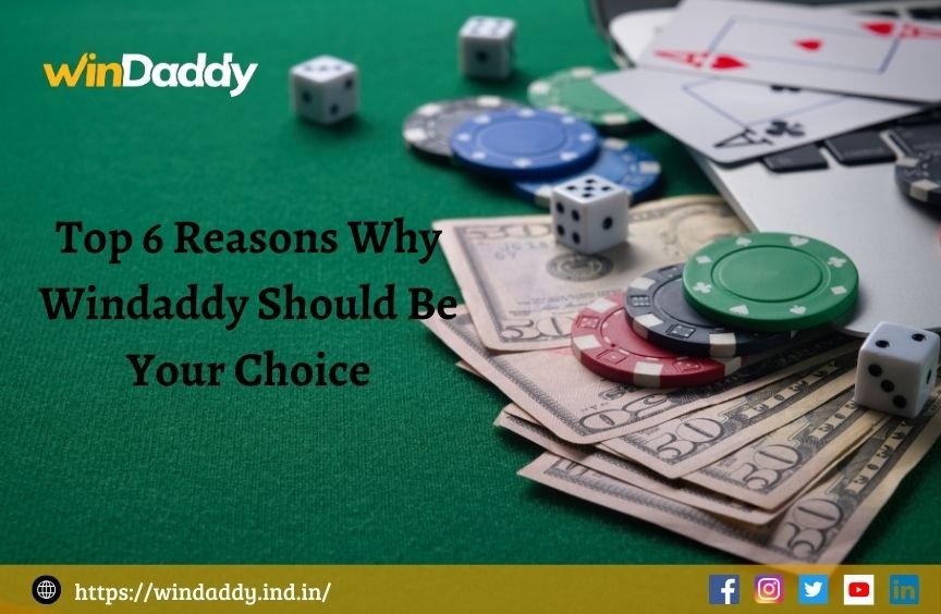 Top 6 Reasons Why Windaddy Should Be Your Choice